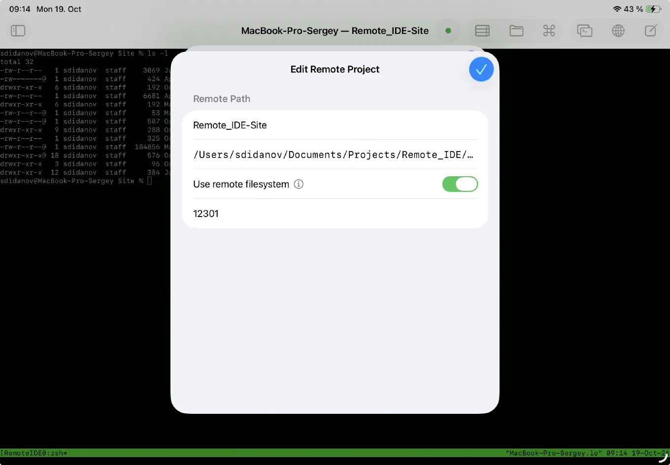 Edit Remote Project dialog: the server path, the Use remote filesystem toggle, and the dev server port field