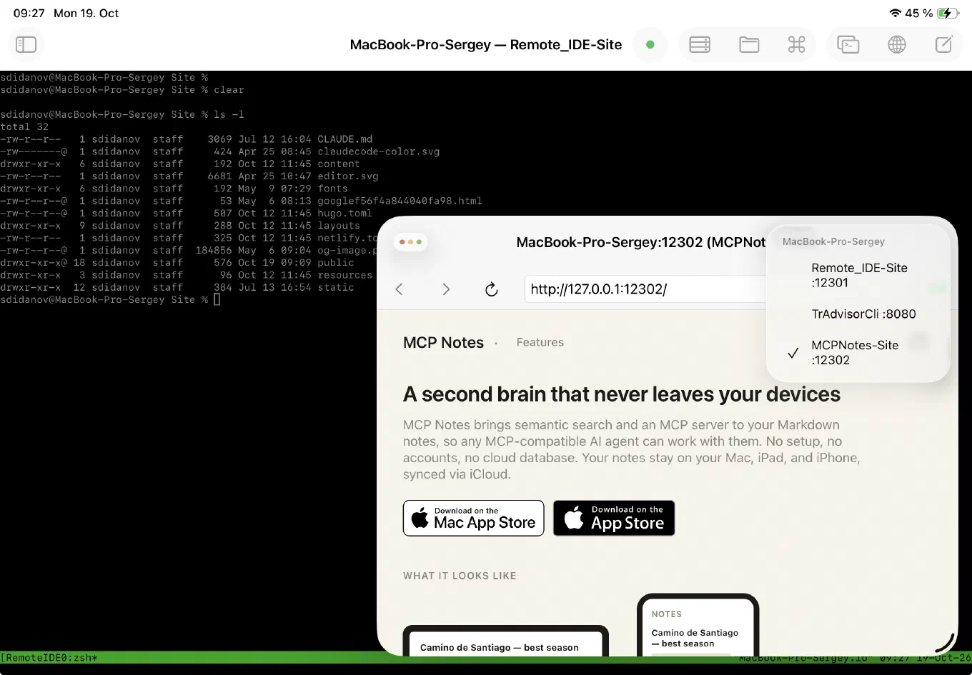 Список открытых окон предпросмотра по проектам: Remote_IDE-Site на порту 12301, TrAdvisorCli на 8080, MCPNotes-Site на 12302